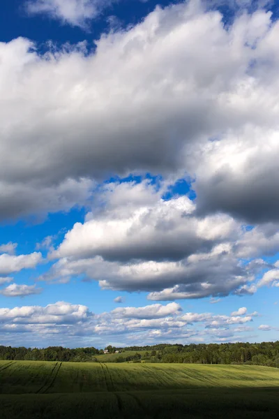 Veld en wolken. — Stockfoto