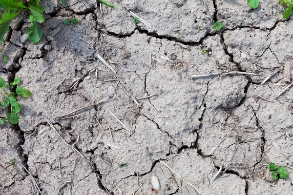 Dry soil. — Stock Photo, Image