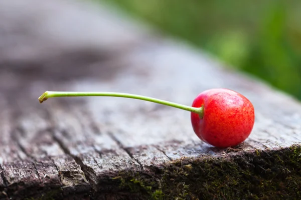 Cherry. — Stock Photo, Image