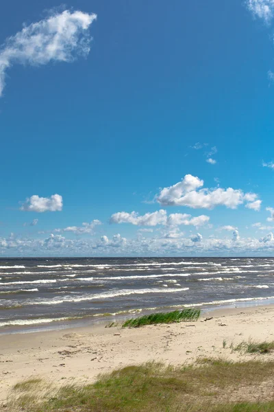 Costa Baltica . — Foto Stock