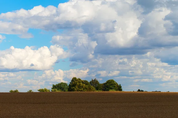 拉脱维亚风景, — 图库照片