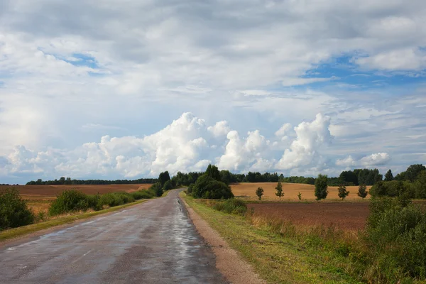 Lettische Landschaft. — Stockfoto