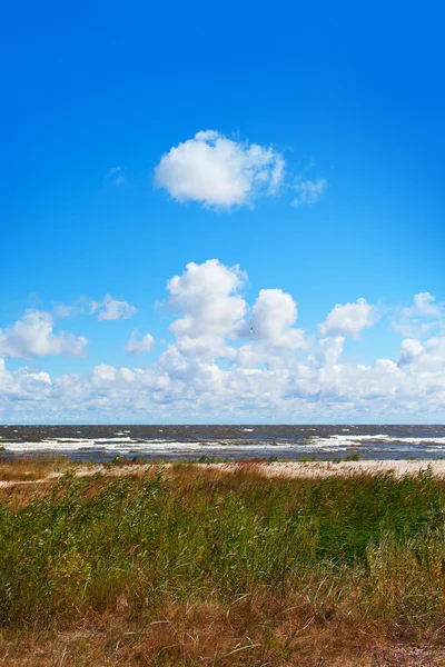 Baltic coast. — Stock Photo, Image