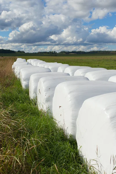 Bales Haylage . — Fotografia de Stock