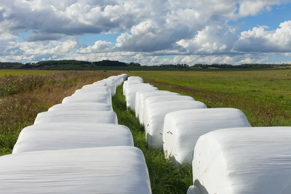Haylage bales. Royalty Free Stock Photos
