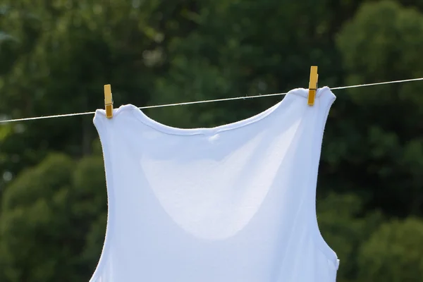 Clothesline ve gömlek. — Stok fotoğraf