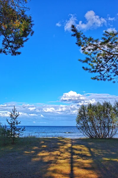 Baltische kust, Letland. — Stockfoto