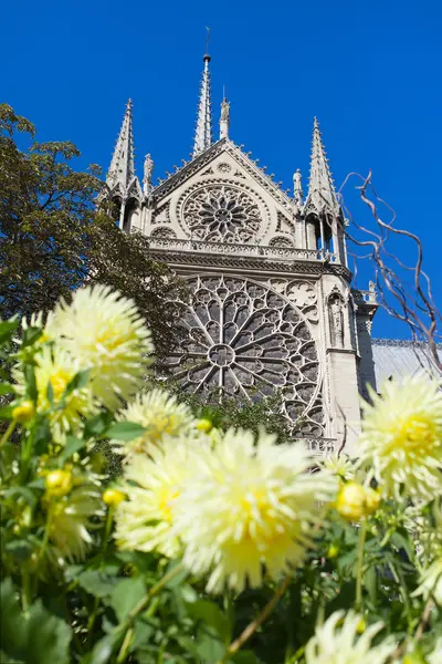 Notre damme katedralen, paris och blommor. — Stockfoto