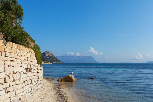 Costa da Sardenha no Golfo Aranci, Itália . — Fotografia de Stock