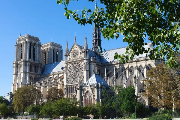 Notre Dame Katedrali, Paris. — Stok fotoğraf