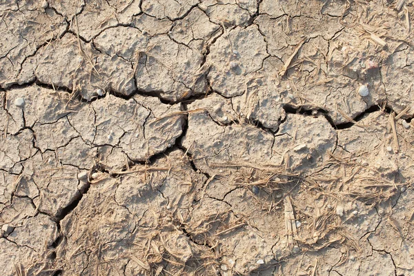 Terreno incrinato . — Foto Stock