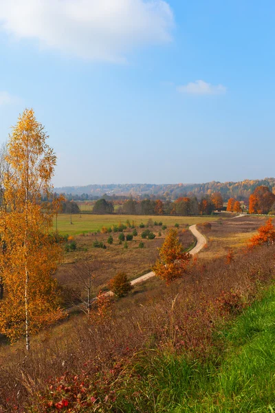 Paesaggio d'autunno. — Foto Stock
