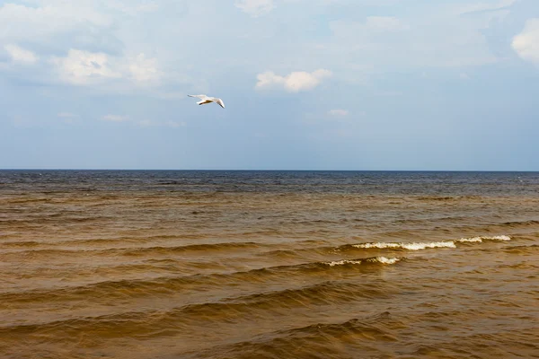 Oostzee. — Stockfoto