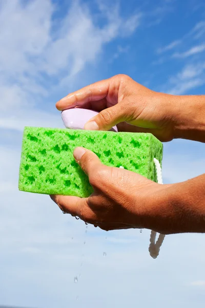 Svamp i händer. — Stockfoto