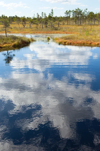 Reflexões. — Fotografia de Stock