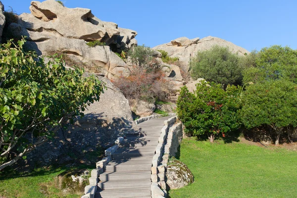 Wandelpad in park. — Stockfoto