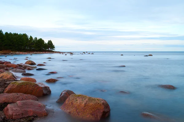 Piedras del mar Báltico . — Foto de Stock