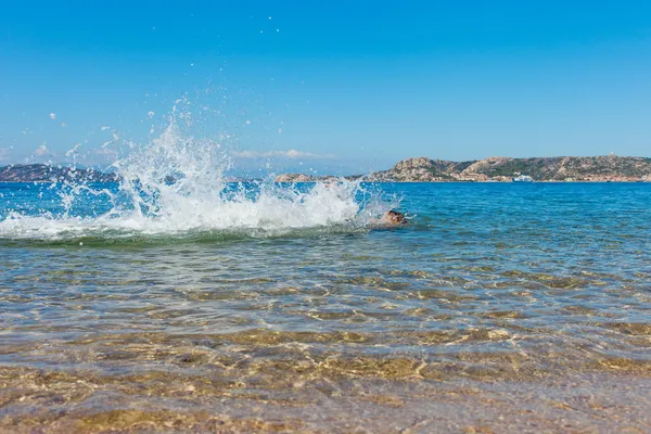 Plavec na pobřeží Sardinie. — Stock fotografie