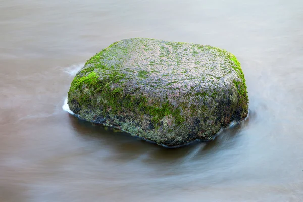 Vlhký kámen. — Stock fotografie