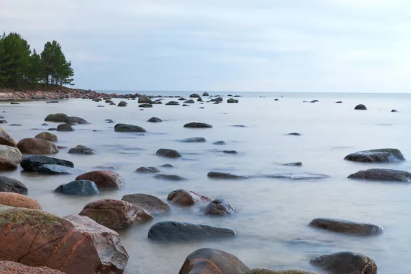 波罗的海海岸. — 图库照片