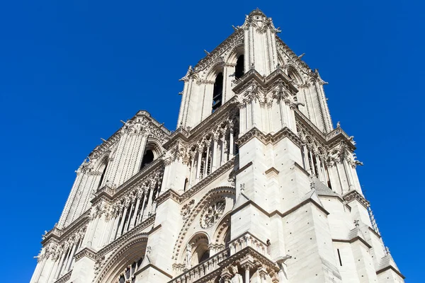 Notre Dame, Paris. — Stok fotoğraf