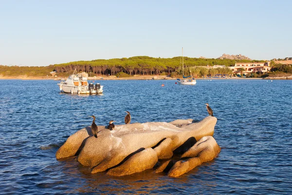 Hamnen i Palau, Sardinien. — Stockfoto