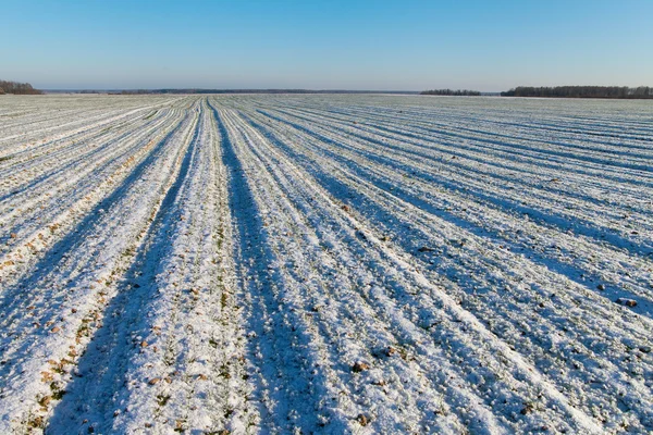 Fält i wintwer. — Stockfoto