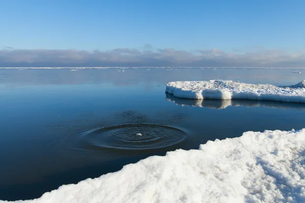 Gelo no mar Báltico . — Fotografia de Stock