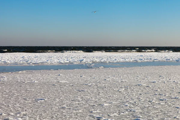 Mar Báltico congelado . — Foto de Stock
