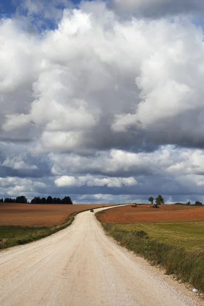 Camino del país. — Foto de Stock