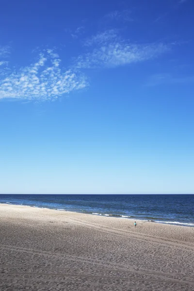 Baltık beach. — Stok fotoğraf