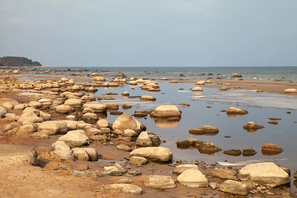 Kameny u Baltského moře. — Stock fotografie