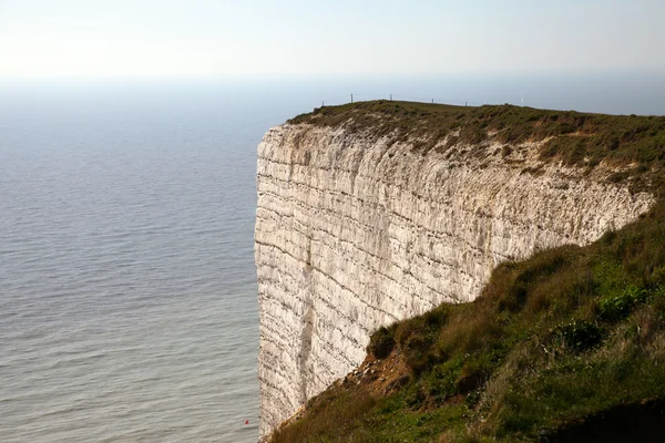 Falaises de craie . — Photo