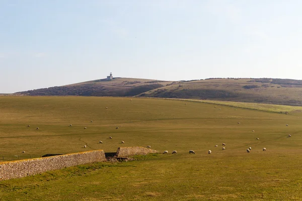 East sussex landschap. — Stockfoto