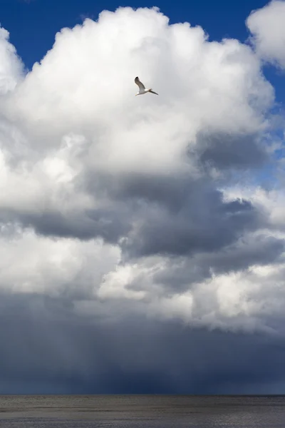 雲と海. — ストック写真