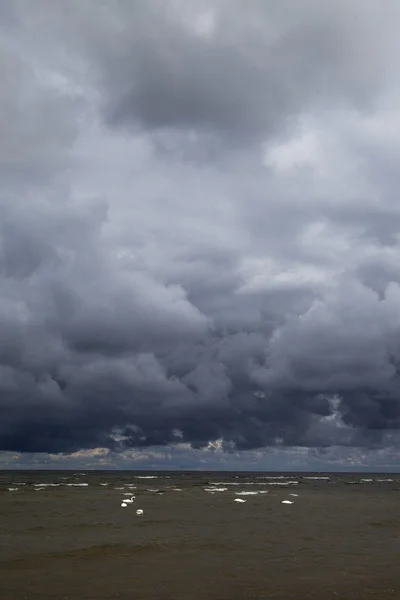 Ciemne Morza Bałtyckiego. Zdjęcie Stockowe