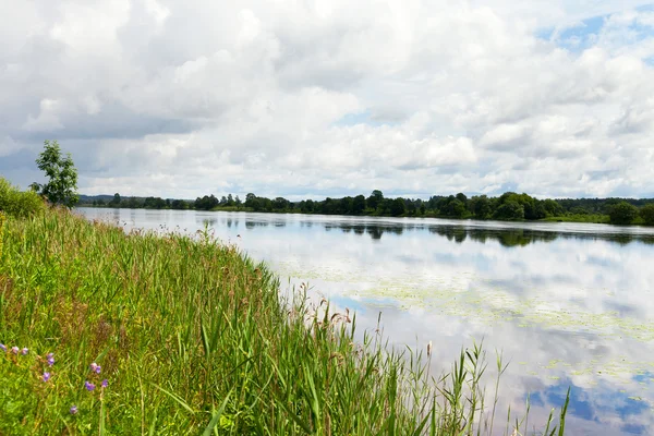 Floden daugava, Lettland. — Stockfoto
