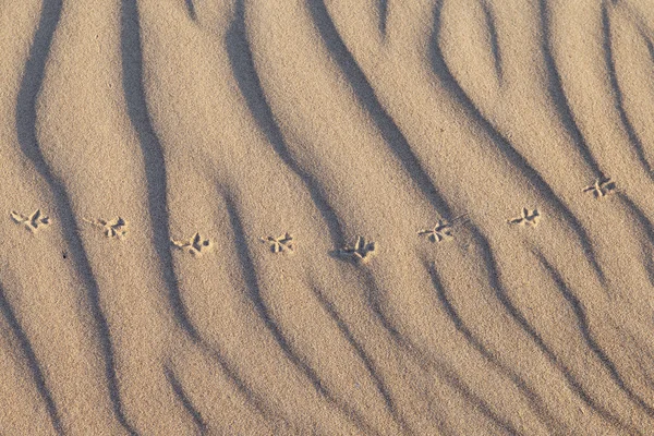 Golfde zand. — Stockfoto