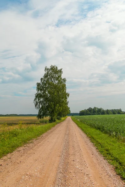Dróg wiejskich. — Zdjęcie stockowe