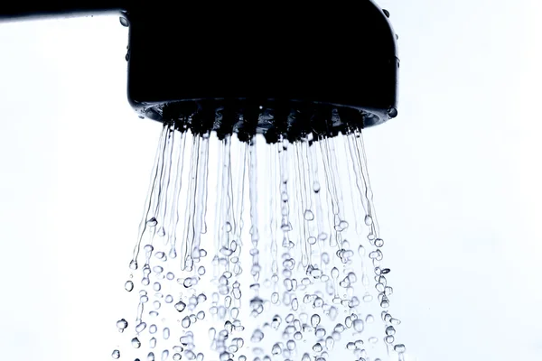 Zuhanyfej. — Stock Fotó