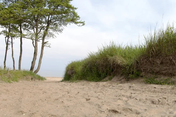 Baltic sea coast. — Stock Photo, Image