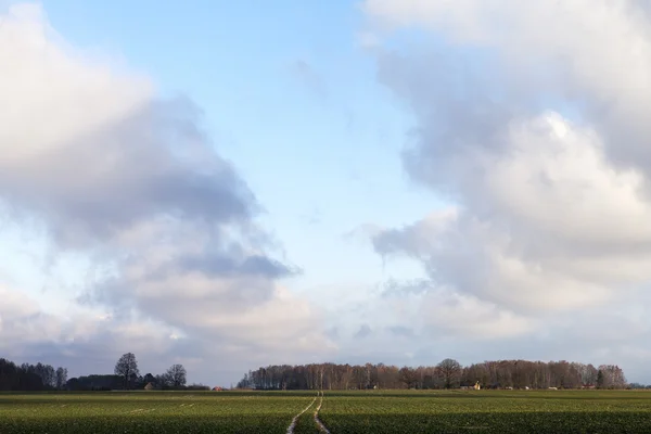 Mattina autunnale . — Foto Stock