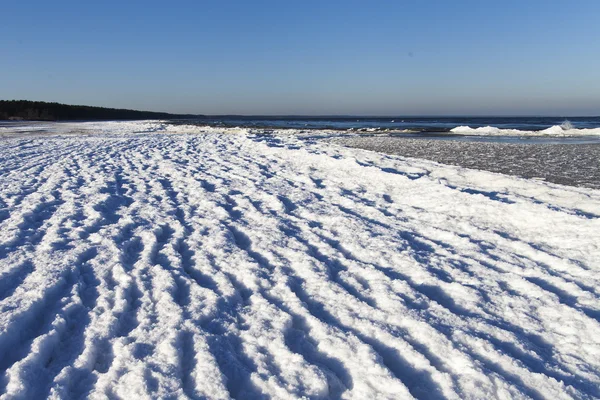 Зима на Балтийском побережье . Стоковое Фото