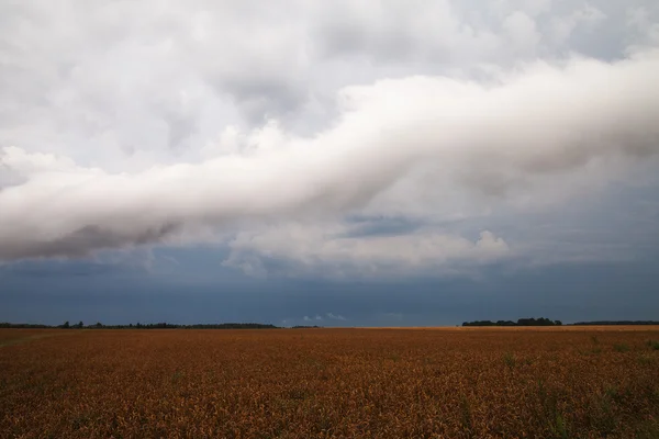 Roll-Wolke. — Stockfoto