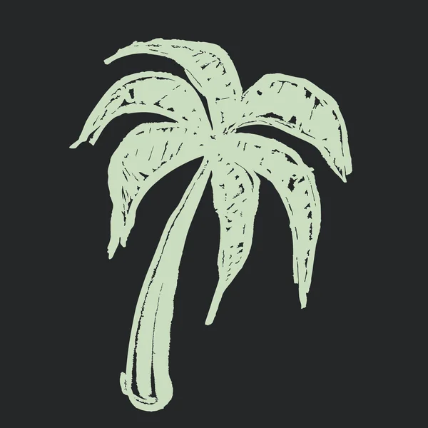 Kokosová palma křídou na tabuli — Stockový vektor