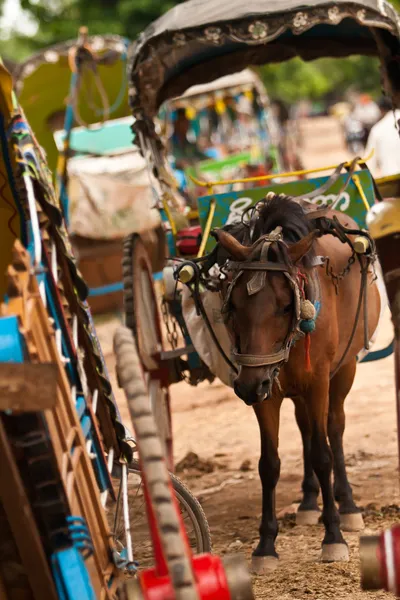 Horse carriage — Stock Photo, Image