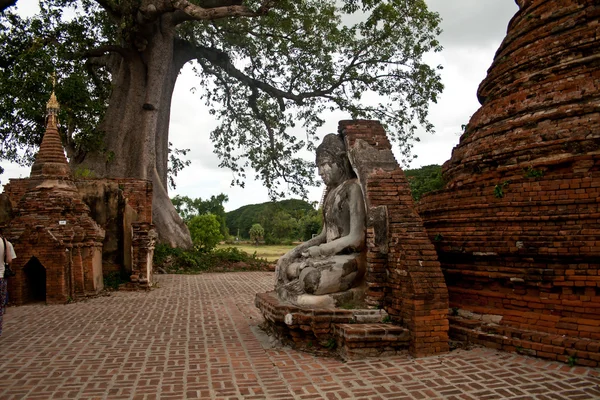 Buda figürü — Stok fotoğraf