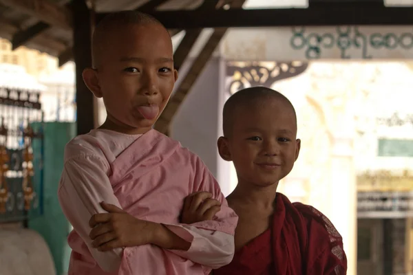 Young monks — Stock Photo, Image