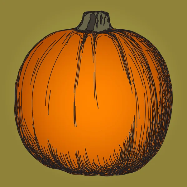 Cute pumpkin sketch — Stock Vector