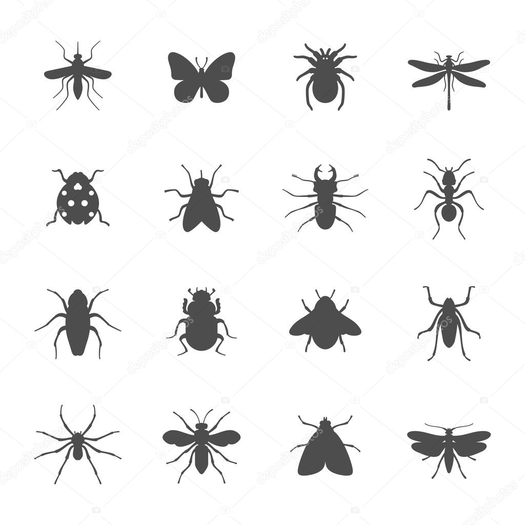 Insects icon set